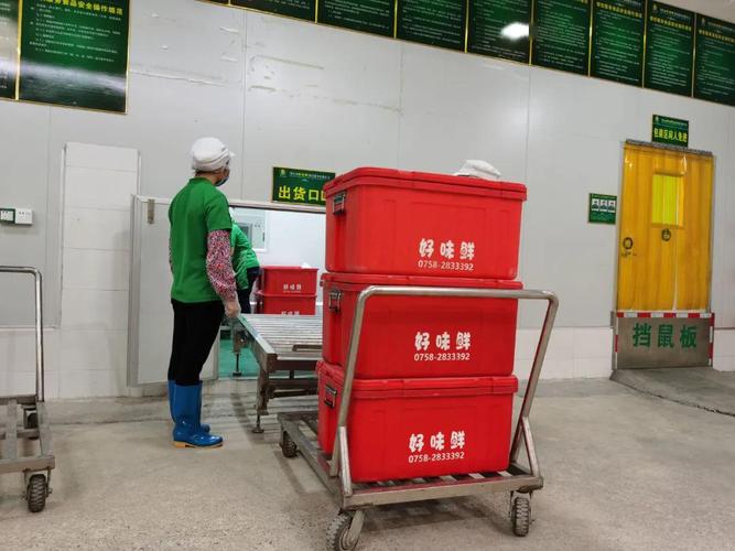 食品销售餐饮配送经营范围有哪些内容，装之前先看这几处