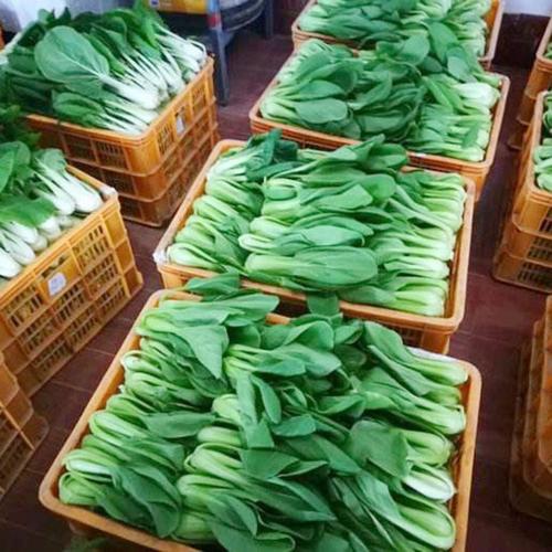餐饮服务加工时食品中心温度，老师傅教你避开常见坑